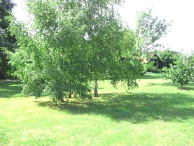 La Maison Tournesol - 3 Bedroom House With Large Garden Near Saumur Saint-Martin-de-la-Place Екстер'єр фото