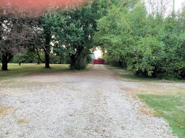 La Maison Tournesol - 3 Bedroom House With Large Garden Near Saumur Saint-Martin-de-la-Place Екстер'єр фото